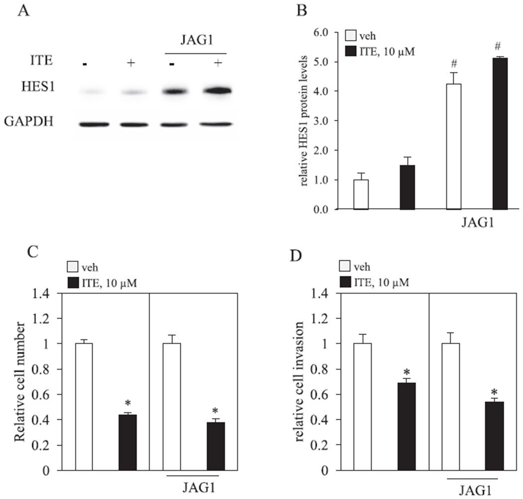 Fig. 9.