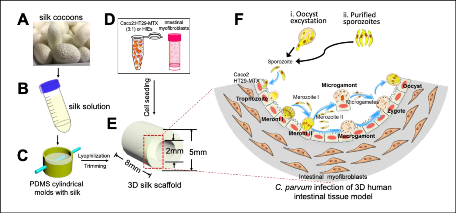 Figure 1: