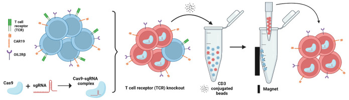 graphic file with name BioProtoc-12-15-4485-ga001.jpg