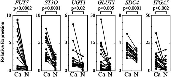 Fig. 5.