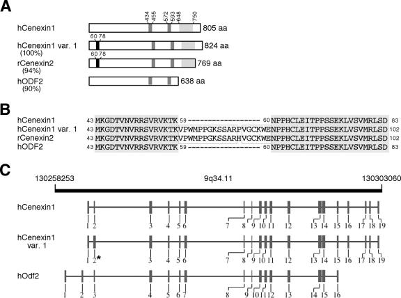 FIG. 1.