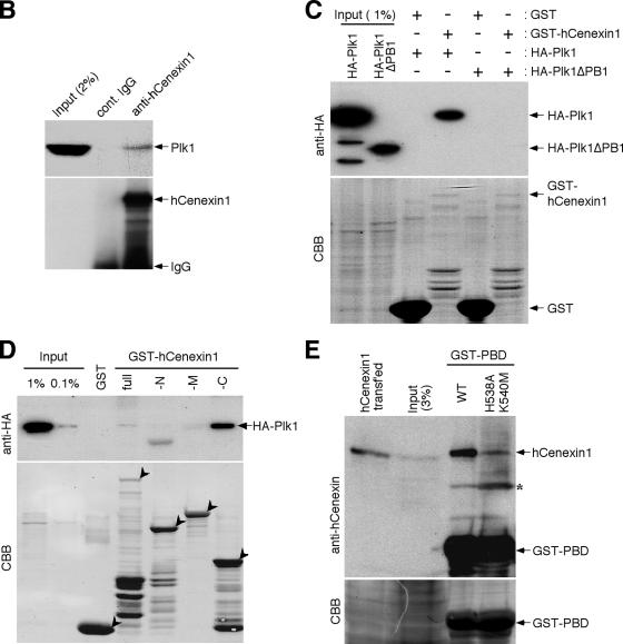 FIG.7.