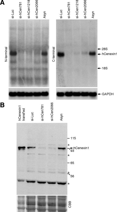 FIG.5.