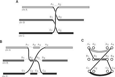 Figure 2.