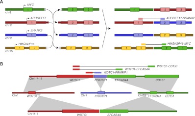 Figure 5.