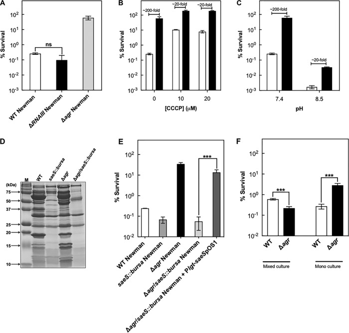 FIG 4 