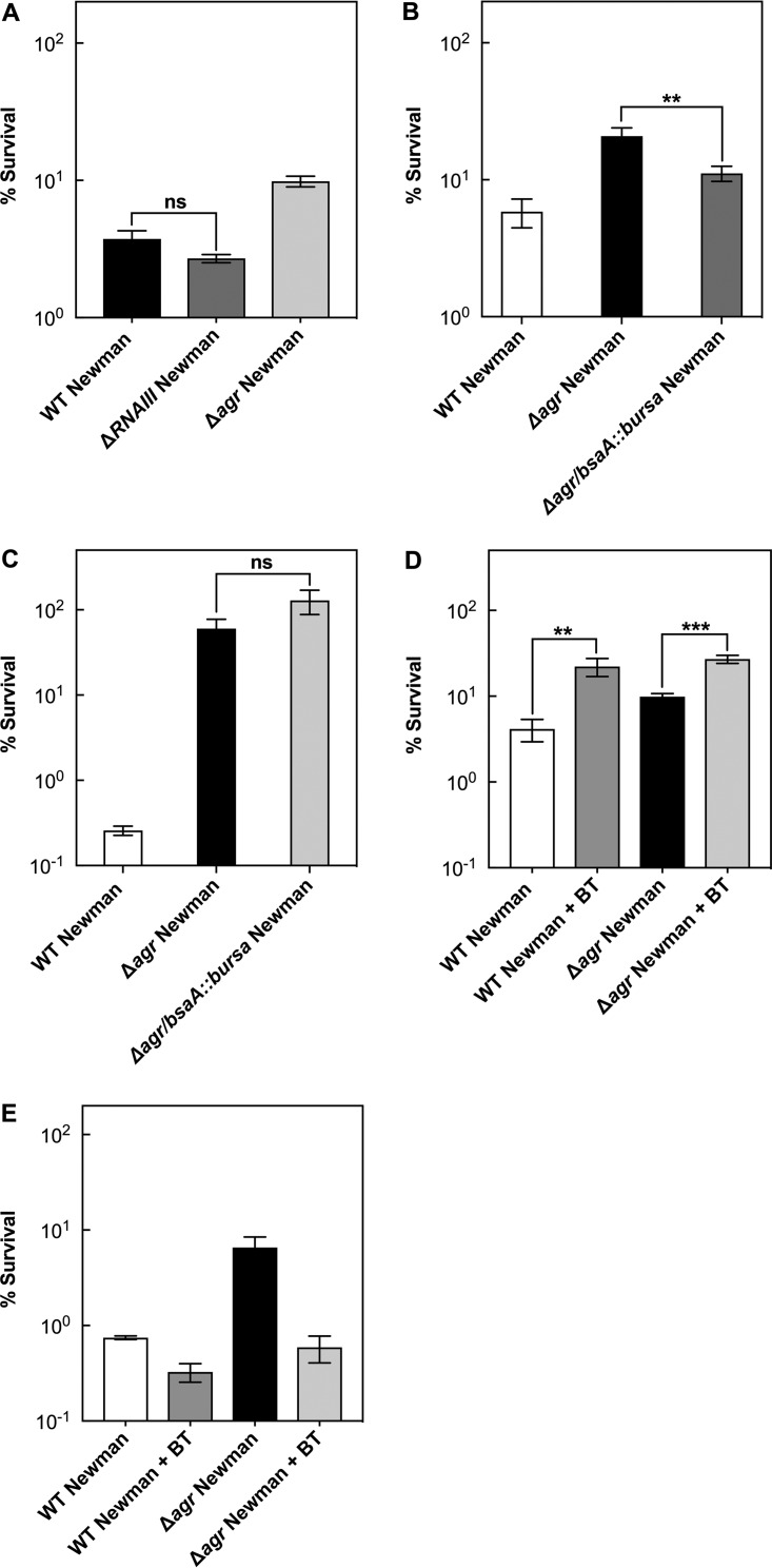 FIG 6 