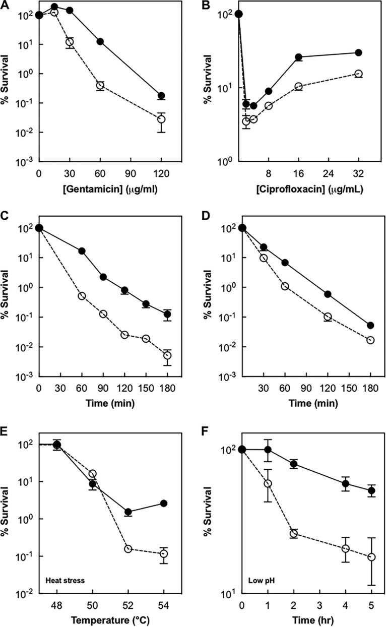 FIG 1 