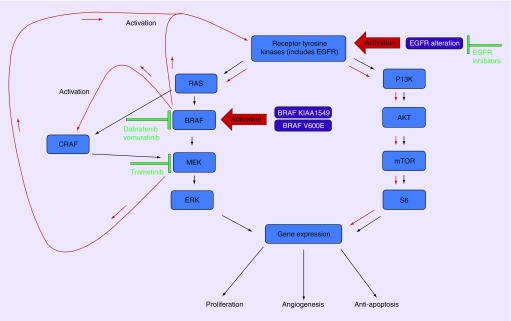 Figure 2. 