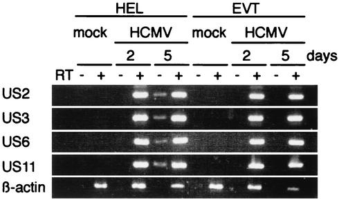 FIG. 5.