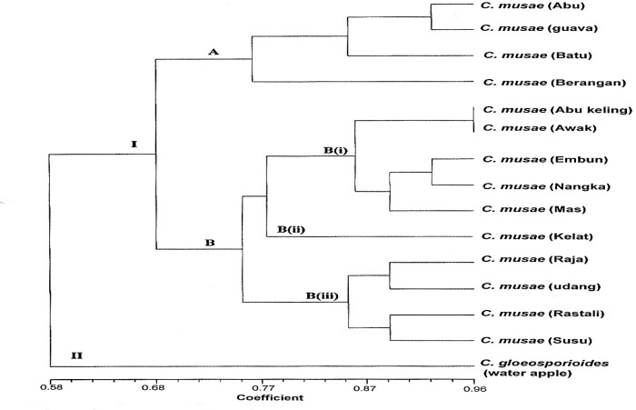 Figure 4: