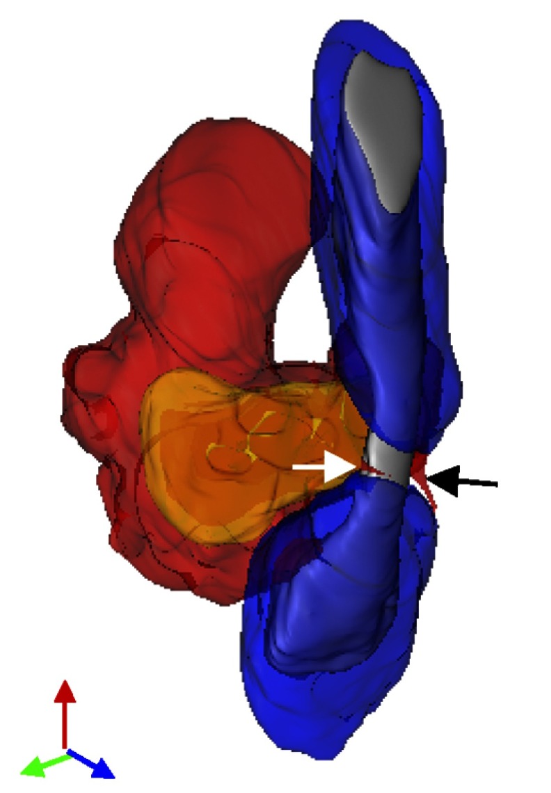 graphic file with name jem.2118insight1fig2.jpg