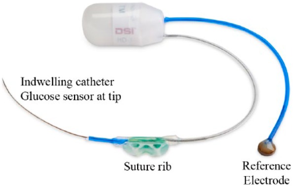 Figure 2.