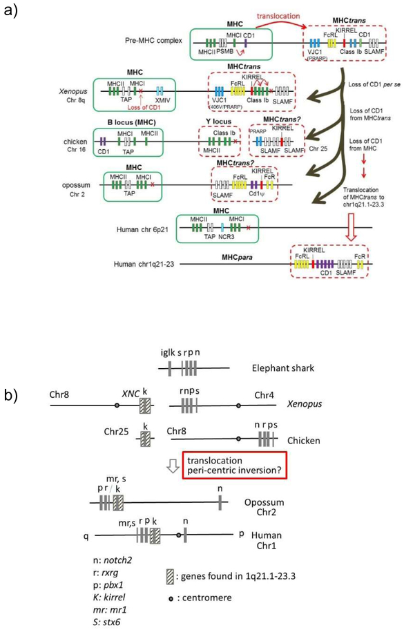 Figure 5.