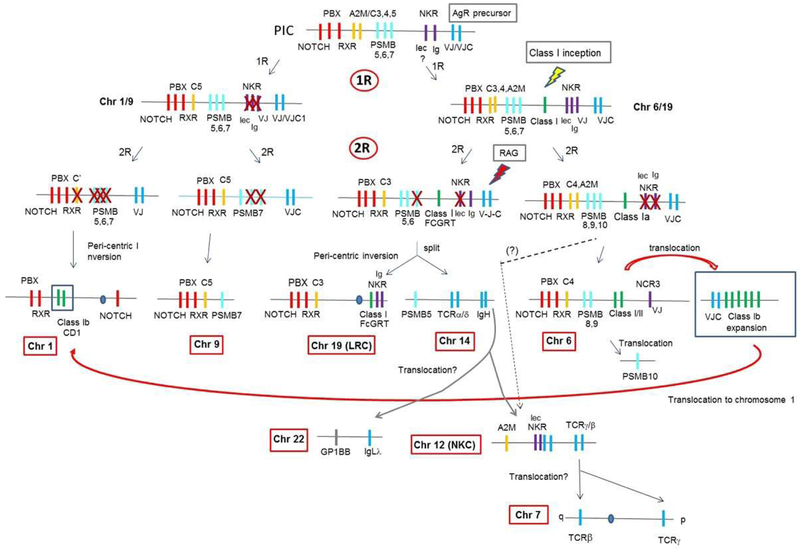 Figure 6.