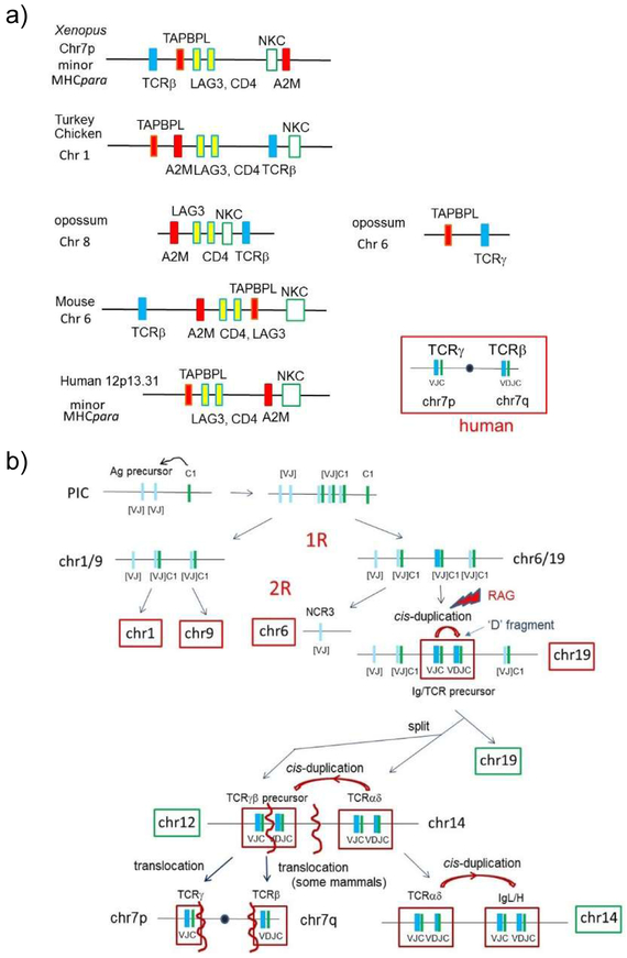 Figure 7.