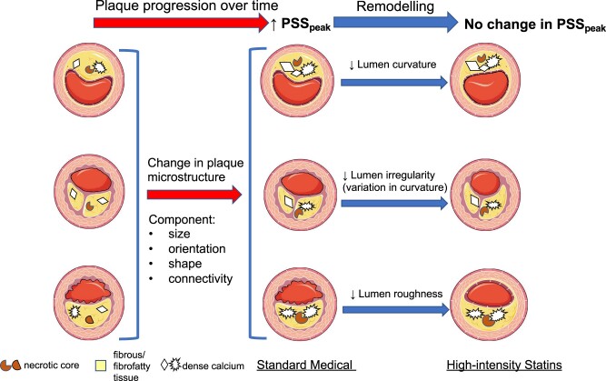 Graphical Abstract