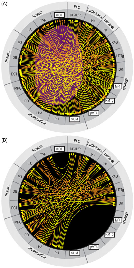 Fig. 10