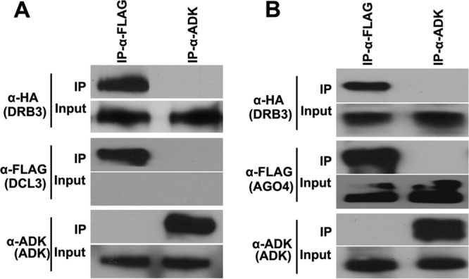 FIG 6