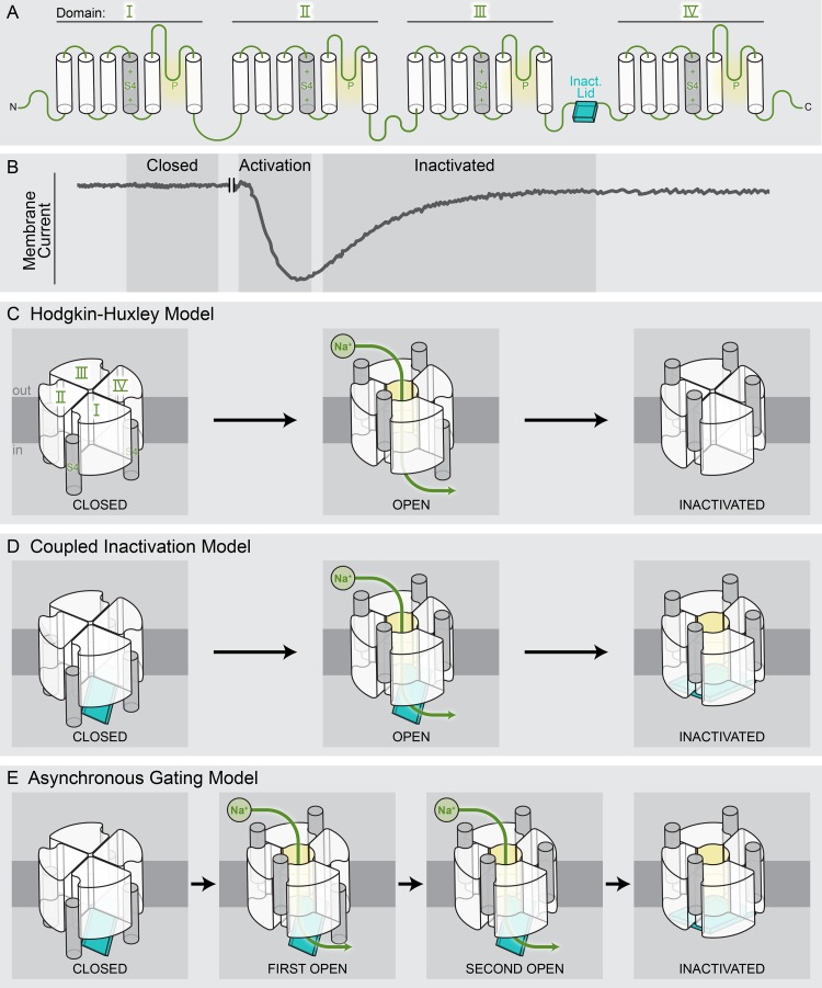 Figure 2.