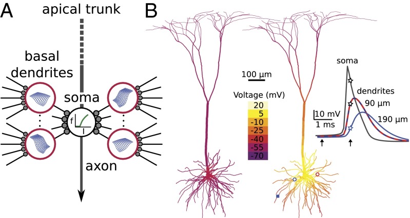 Fig. 1.