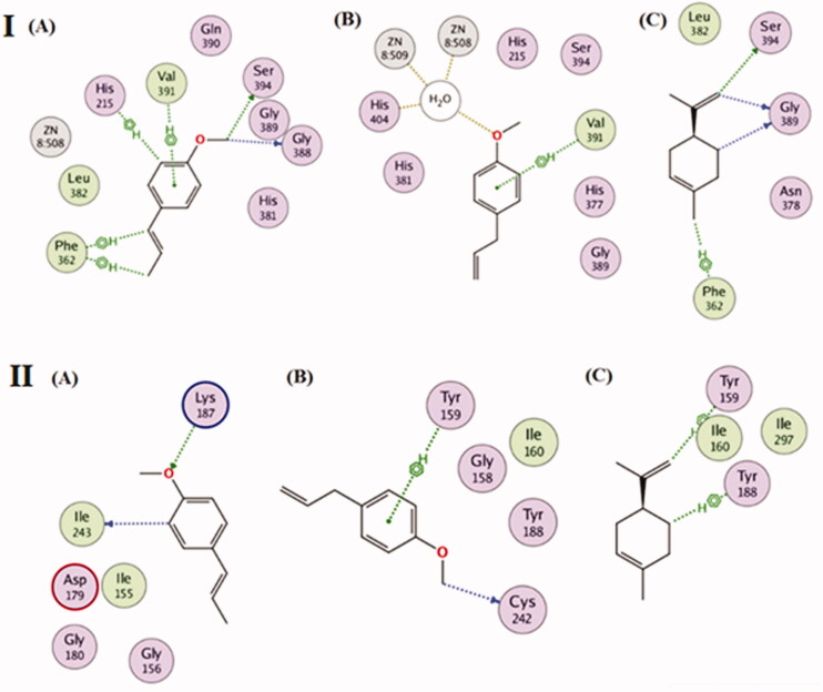 Figure 5.