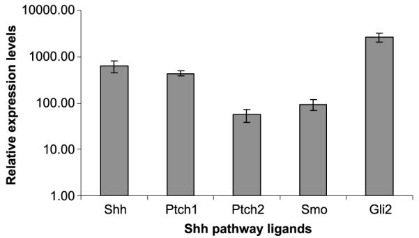 FIGURE 4