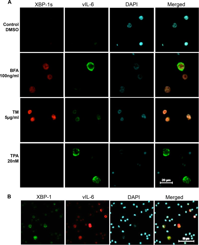 FIG 6