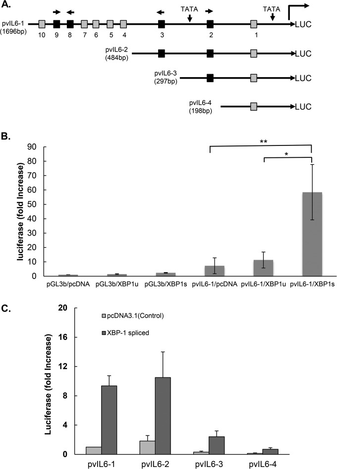 FIG 2