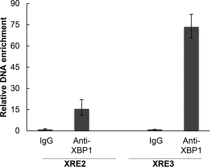 FIG 4