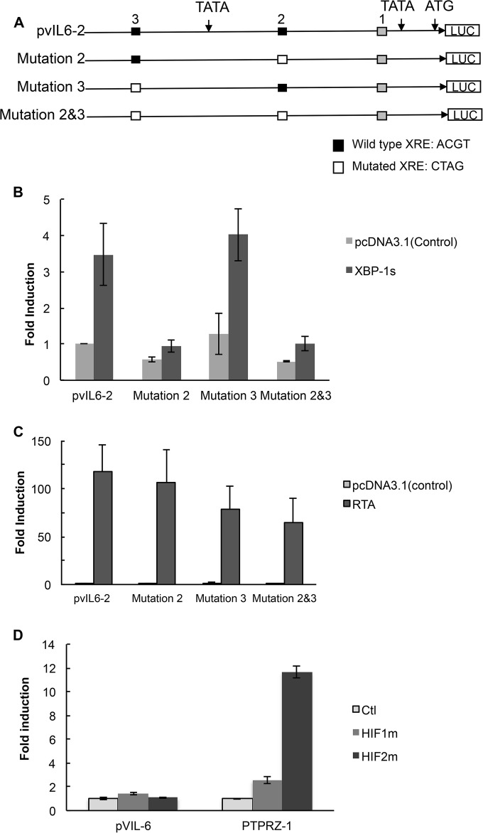 FIG 3