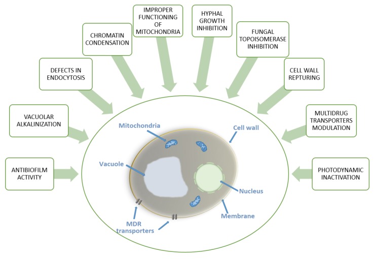 Figure 7