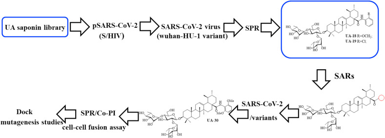 Fig. 1B