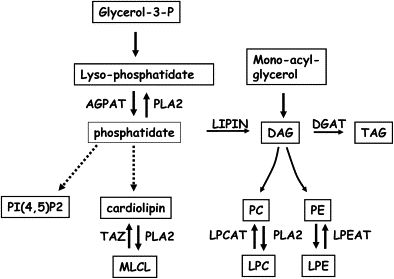 Figure 3