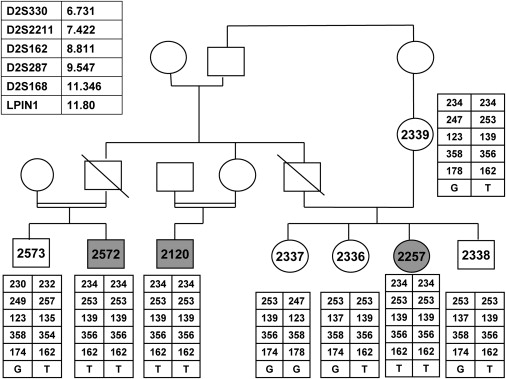 Figure 1