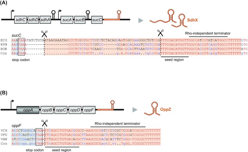 Figure 9.