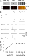 Fig 7