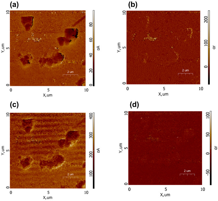 Figure 12