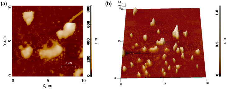 Figure 11