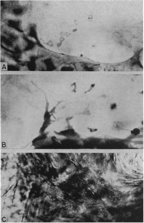 FIGURE 16.