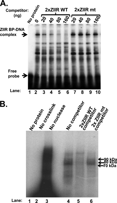 Fig. 8.