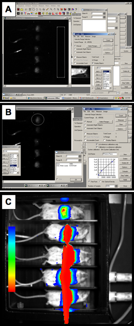 Figure 2