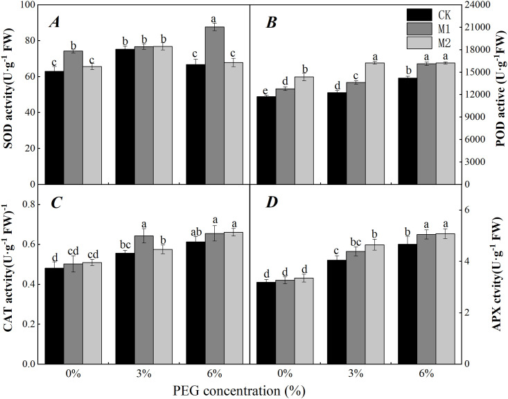 Fig 7