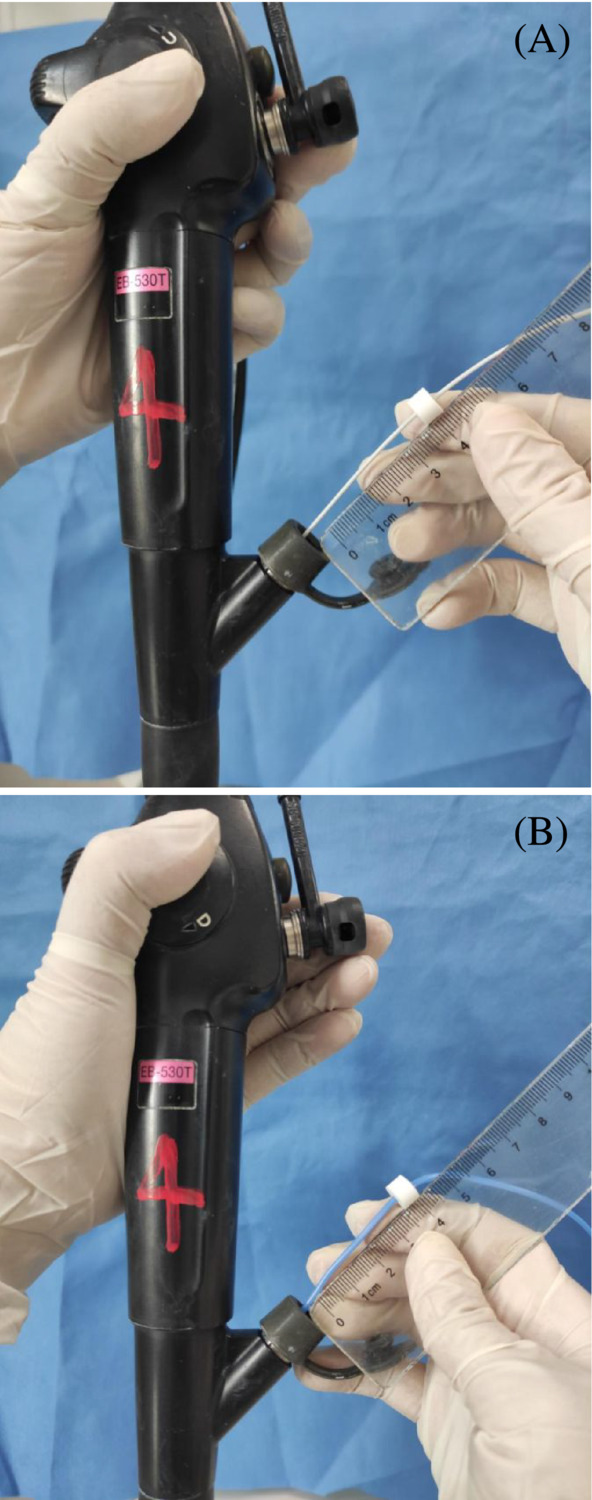 FIGURE 1