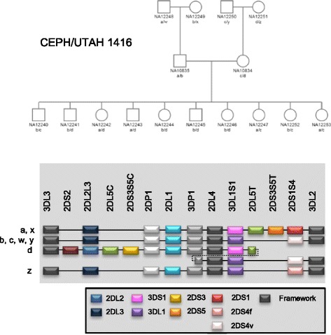 Fig. 2