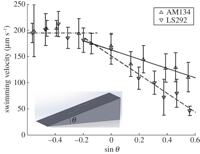 Figure 2.