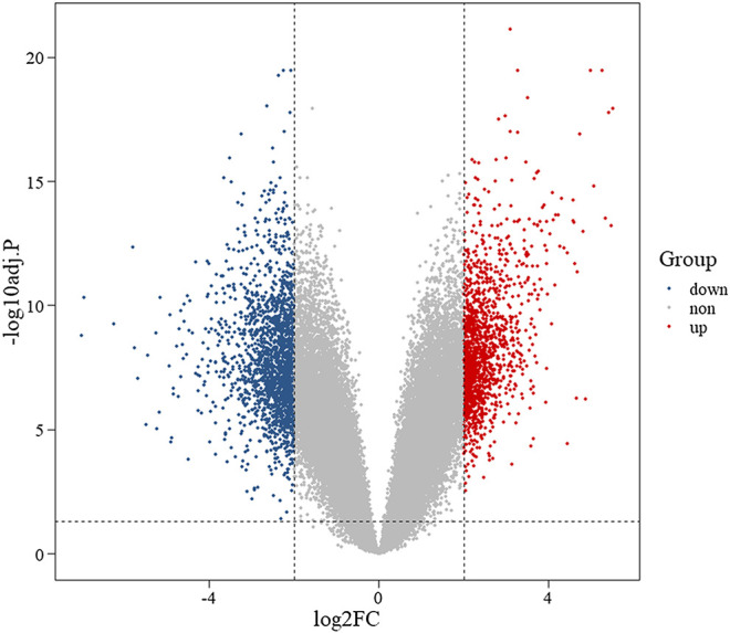 FIGURE 2