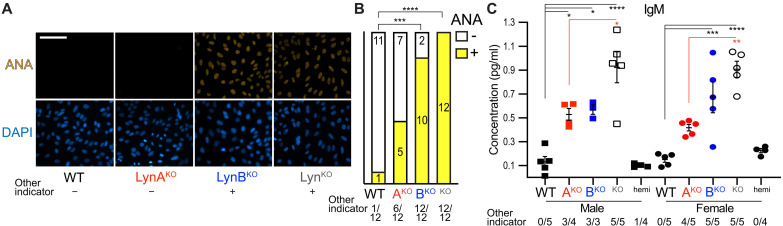 Fig. 9.