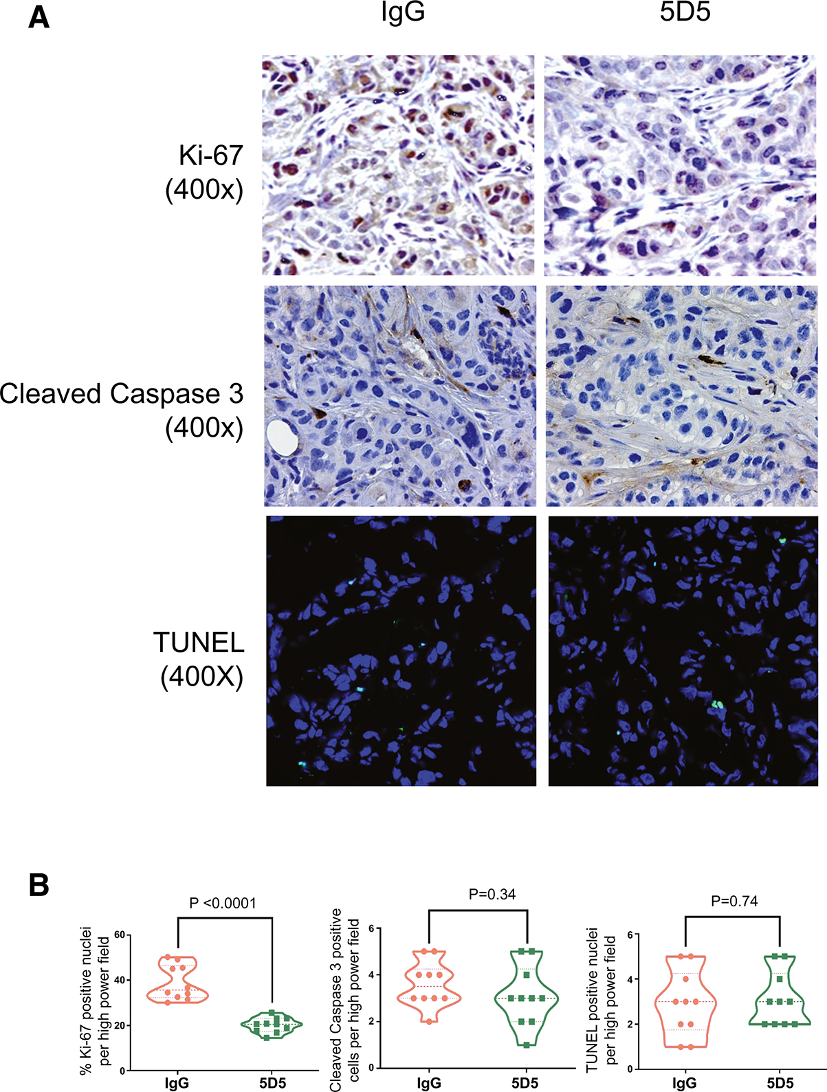 Figure 6: