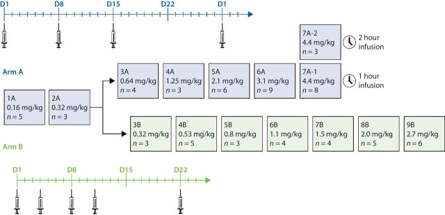 Figure 1. Study schema. Patients in arm A received ALRN-6924 on days 1, 8, and 15 of a 28-day cycle, whereas those in arm B received ALRN-6924 on days 1, 4, 8, and 11 of a 21-day cycle.